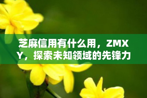 芝麻信用有什么用，ZMXY，探索未知领域的先锋力量