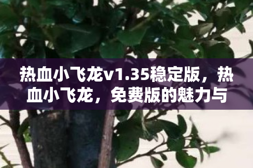 热血小飞龙v1.35稳定版，热血小飞龙，免费版的魅力与奇幻之旅