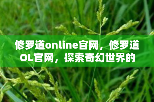 修罗道online官网，修罗道OL官网，探索奇幻世界的门户
