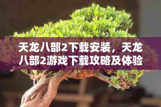 天龙八部2下载安装，天龙八部2游戏下载攻略及体验分享