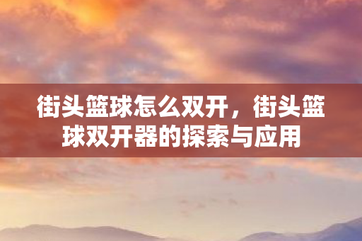 街头篮球怎么双开，街头篮球双开器的探索与应用
