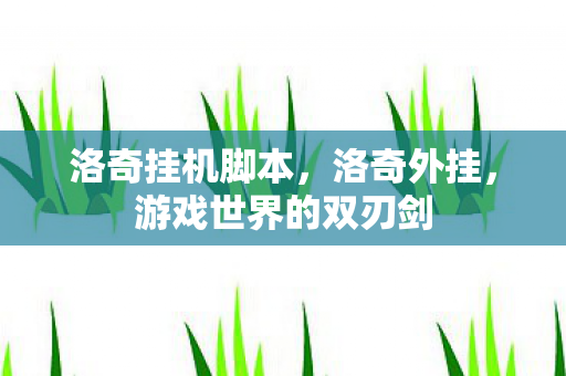 洛奇挂机脚本，洛奇外挂，游戏世界的双刃剑