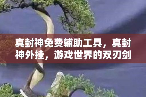 真封神免费辅助工具，真封神外挂，游戏世界的双刃剑