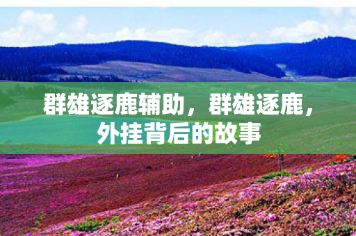 群雄逐鹿辅助，群雄逐鹿，外挂背后的故事