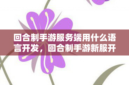 回合制手游服务端用什么语言开发，回合制手游新服开启，探索未知世界的全新篇章