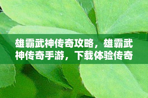 雄霸武神传奇攻略，雄霸武神传奇手游，下载体验传奇世界