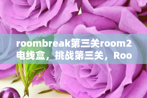 roombreak第三关room2电线盒，挑战第三关，RoomBreak密室逃脱之旅