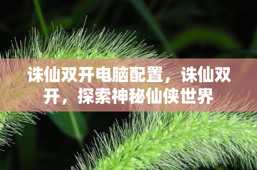 诛仙双开电脑配置，诛仙双开，探索神秘仙侠世界