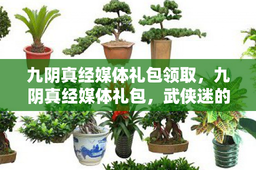 九阴真经媒体礼包领取，九阴真经媒体礼包，武侠迷的必备福利