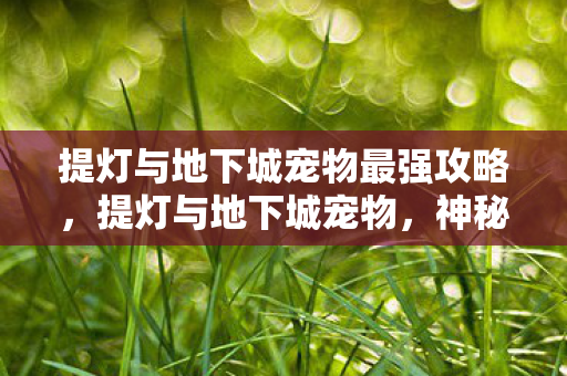 提灯与地下城宠物最强攻略，提灯与地下城宠物，神秘伙伴的探险之旅