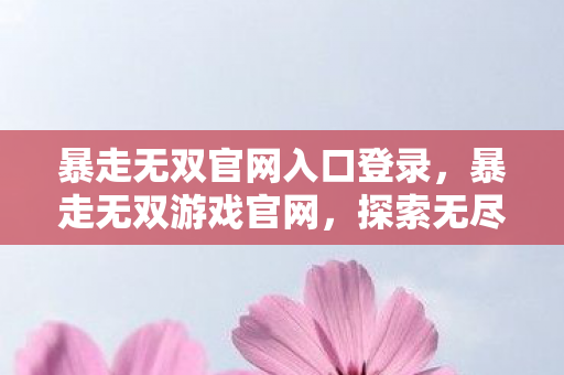 暴走无双官网入口登录，暴走无双游戏官网，探索无尽的游戏世界