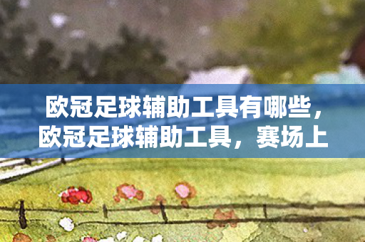 欧冠足球辅助工具有哪些，欧冠足球辅助工具，赛场上的得力助手