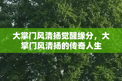 大掌门风清扬觉醒缘分，大掌门风清扬的传奇人生