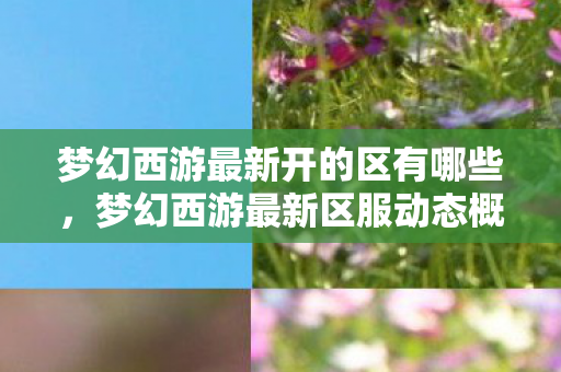 梦幻西游最新开的区有哪些，梦幻西游最新区服动态概览