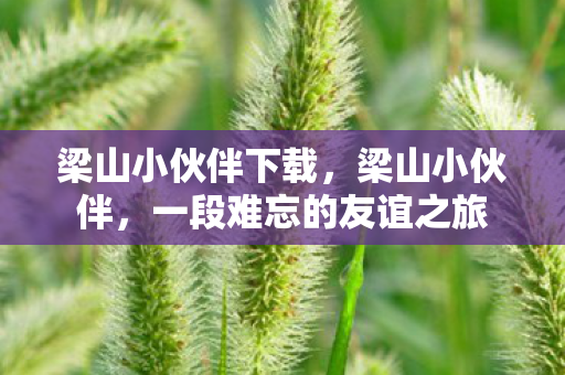 梁山小伙伴下载，梁山小伙伴，一段难忘的友谊之旅