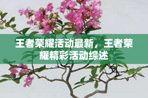 王者荣耀活动最新，王者荣耀精彩活动综述