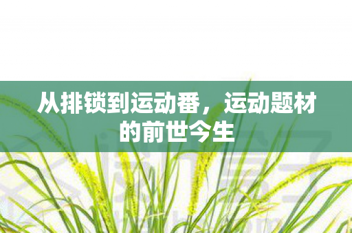 从排锁到运动番，运动题材的前世今生