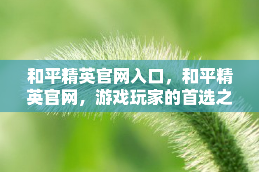 和平精英官网入口，和平精英官网，游戏玩家的首选之地