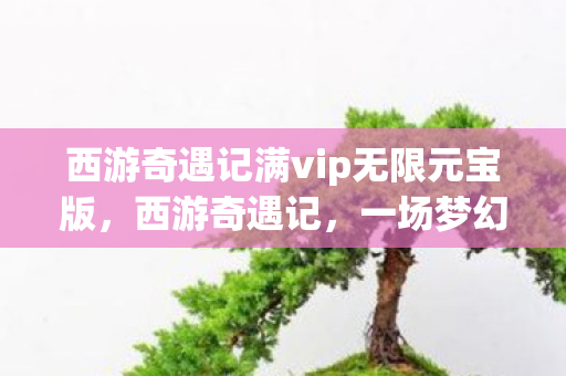 西游奇遇记满vip无限元宝版，西游奇遇记，一场梦幻般的冒险之旅