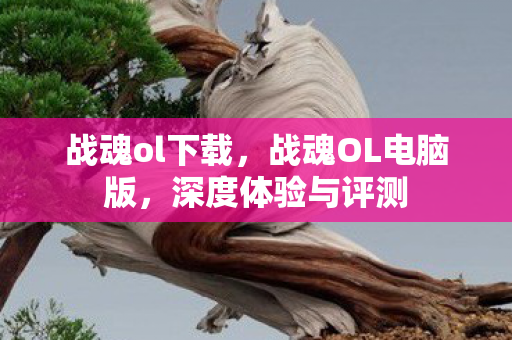 战魂ol下载，战魂OL电脑版，深度体验与评测
