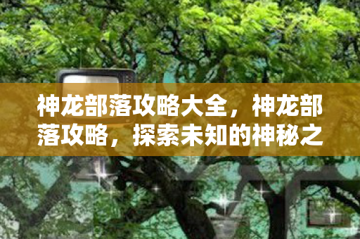 神龙部落攻略大全，神龙部落攻略，探索未知的神秘之地