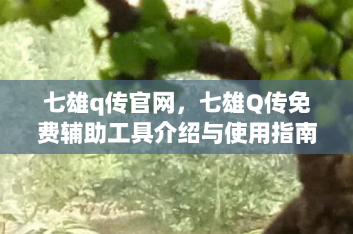 七雄q传官网，七雄Q传免费辅助工具介绍与使用指南