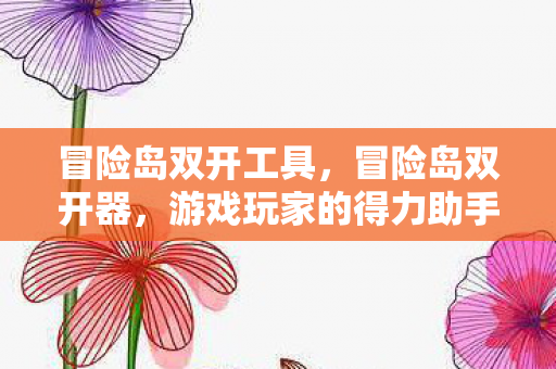冒险岛双开工具，冒险岛双开器，游戏玩家的得力助手