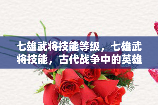 七雄武将技能等级，七雄武将技能，古代战争中的英雄风采