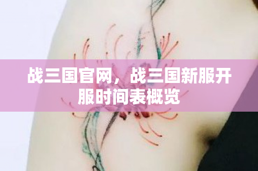 战三国官网，战三国新服开服时间表概览