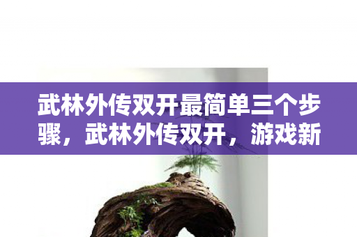 武林外传双开最简单三个步骤，武林外传双开，游戏新境界的探索