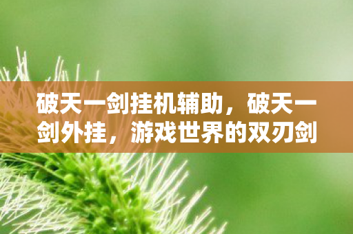 破天一剑挂机辅助，破天一剑外挂，游戏世界的双刃剑