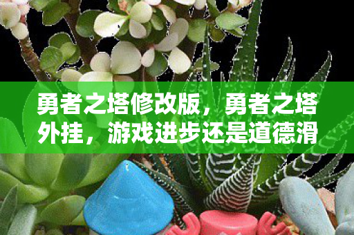 勇者之塔修改版，勇者之塔外挂，游戏进步还是道德滑坡？