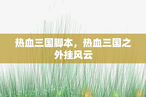 热血三国脚本，热血三国之外挂风云