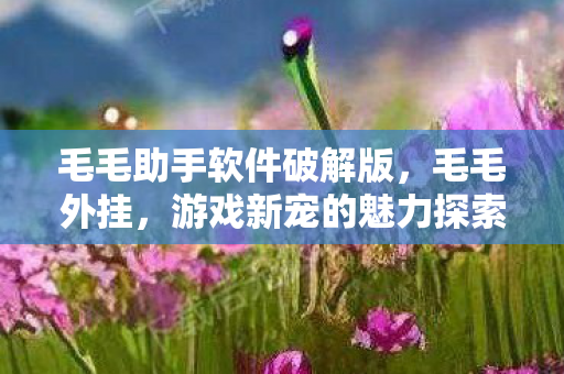 毛毛助手软件破解版，毛毛外挂，游戏新宠的魅力探索