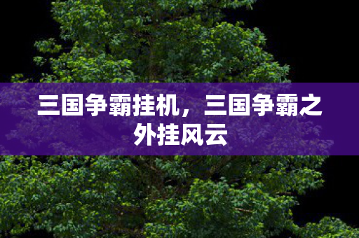 三国争霸挂机，三国争霸之外挂风云