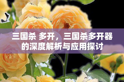 三国杀 多开，三国杀多开器的深度解析与应用探讨