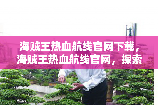 海贼王热血航线官网下载，海贼王热血航线官网，探索海贼世界的无尽冒险之旅