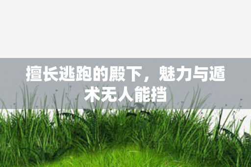 擅长逃跑的殿下，魅力与遁术无人能挡