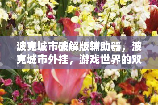 波克城市破解版辅助器，波克城市外挂，游戏世界的双刃剑