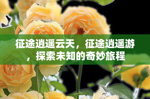 征途逍遥云天，征途逍遥游，探索未知的奇妙旅程