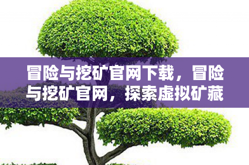 冒险与挖矿官网下载，冒险与挖矿官网，探索虚拟矿藏的冒险之旅