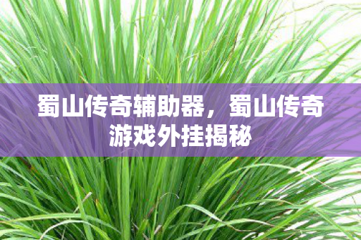 蜀山传奇辅助器，蜀山传奇游戏外挂揭秘