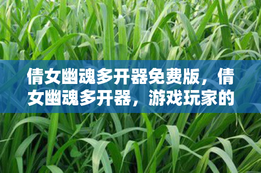 倩女幽魂多开器免费版，倩女幽魂多开器，游戏玩家的利器