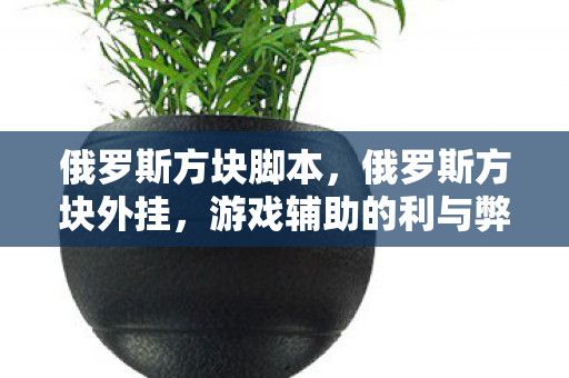 俄罗斯方块脚本，俄罗斯方块外挂，游戏辅助的利与弊