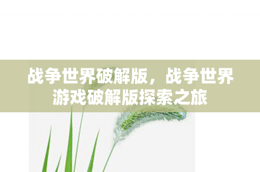 战争世界破解版，战争世界游戏破解版探索之旅