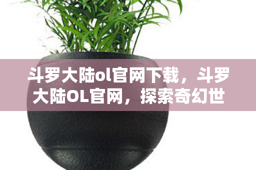 斗罗大陆ol官网下载，斗罗大陆OL官网，探索奇幻世界的门户