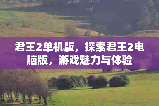 君王2单机版，探索君王2电脑版，游戏魅力与体验
