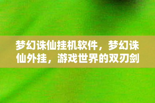 梦幻诛仙挂机软件，梦幻诛仙外挂，游戏世界的双刃剑