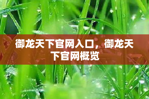 御龙天下官网入口，御龙天下官网概览