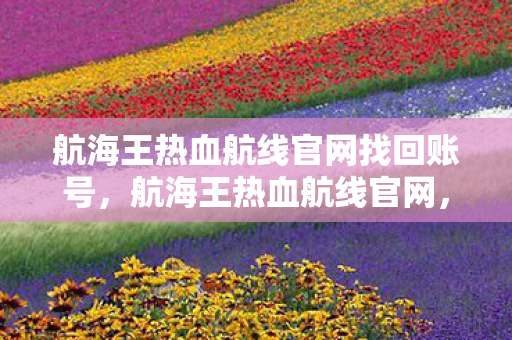 航海王热血航线官网找回账号，航海王热血航线官网，探索海贼世界的起点